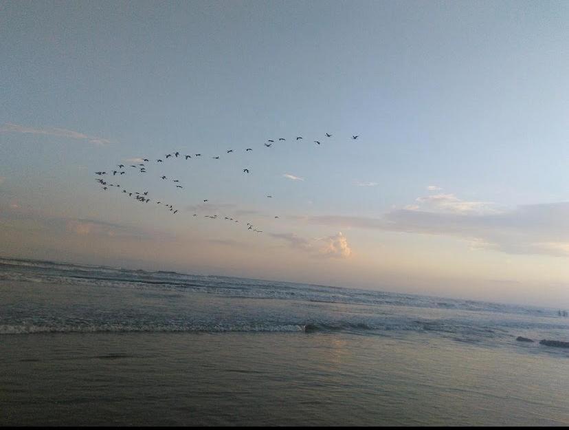 Apartamento Beira Mar Centro Da Cidade Wifi Gratis Mongaguá Esterno foto